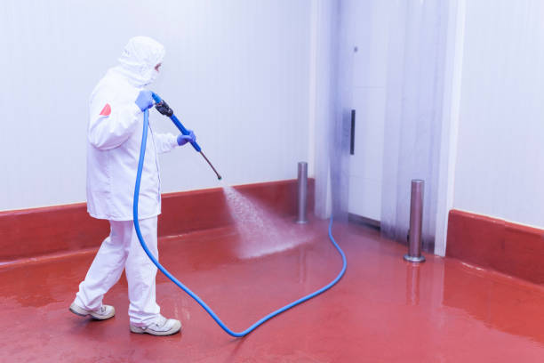 Best Rust Removal  in Sunny Isles Beach, FL